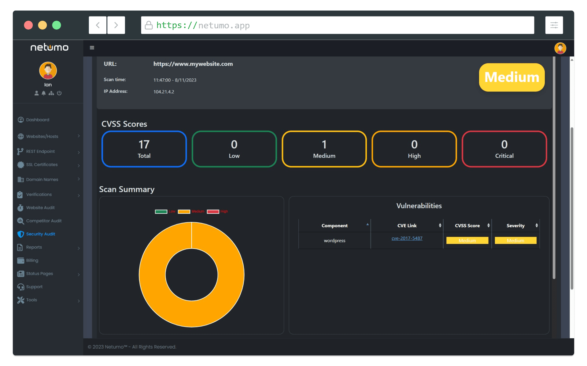 Netumo Security Scan